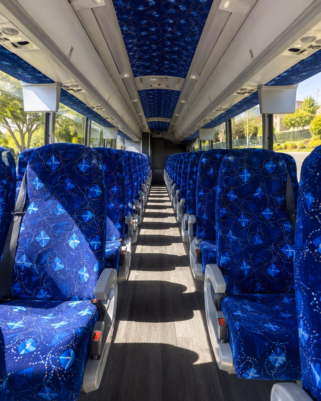 charter bus rentals for weddings at stone mountain park and arabia mountain